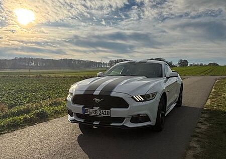 Ford Mustang Fastback V6