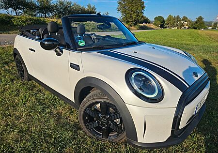 Mini Cooper Cabrio LED Leder Navi Temp Klima makellos
