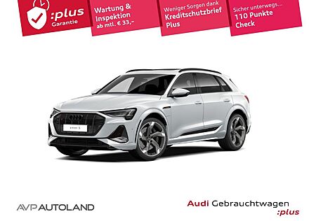 Audi e-tron S quattro | MMI NAVI PLUS | PANO | LED |