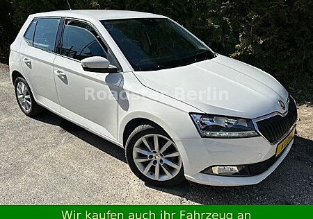 Skoda Fabia Ambition 1,0Tsi Green tec. *Stadtflitzer*