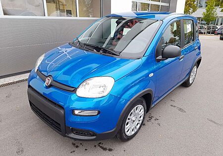 Fiat Panda 1.0 GSE Hybrid 2024 City-Paket Parksensore