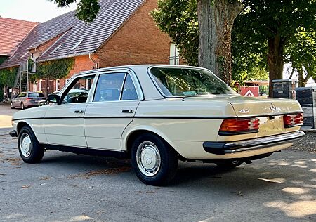 Mercedes-Benz 250 Mercedes W123 6Zyl Handschalter UNGESCHWEIßT