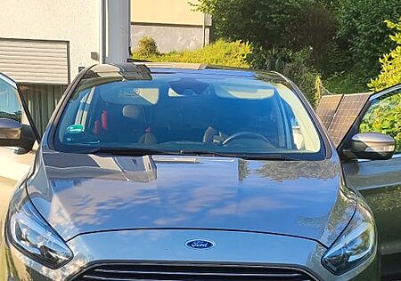 Ford S-Max Titanium AHK*Panorama*Sport*7Sitzer
