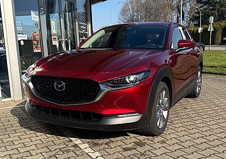 Mazda CX-30 2.5 Exclusive-Line *Matrix-LED*BOSE*360°*