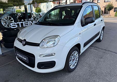 Fiat Panda 1.2 My * TÜV & Service NEU * S-Heft