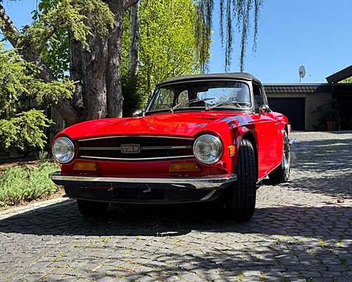 Triumph TR6 (USA)