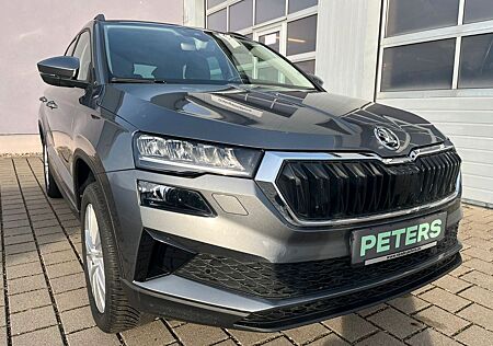 Skoda Karoq Selection Navi Tempomat Rückfahrkamera PDC