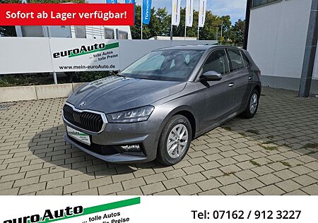 Skoda Fabia Selection 1.0 TSi DSG AHK 5 Jahre Garantie