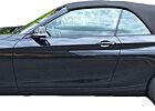 BMW 218i Cabrio Advantage