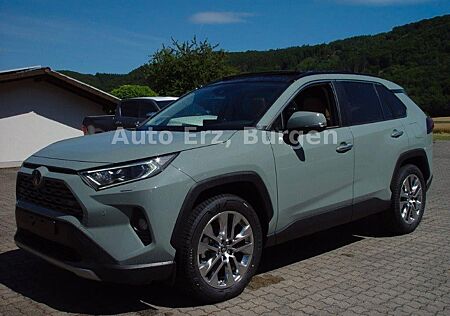Toyota RAV 4 RAV4 2.5 Hybrid Pano 360° 4x4 Lager