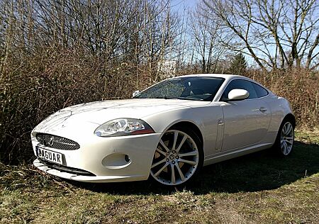 Jaguar XK8 - Und? Wer hat Lust auf eine weiße Siamkatze?