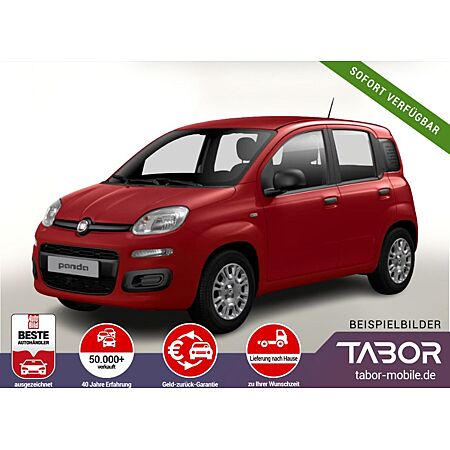 Fiat Panda leasen