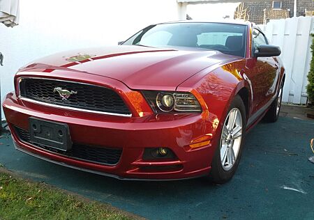 Ford Mustang 3,7 V6 (Unfallfrei) US-Import