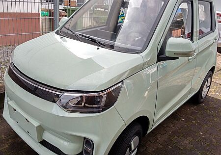 Andere Elektro-Leichtkraftfahrzeug 45 Km/h bis 70/100 K