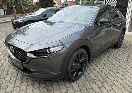 Mazda CX-30 2.0L e-SKYACTIV G 150 6AT FWD Nagisa