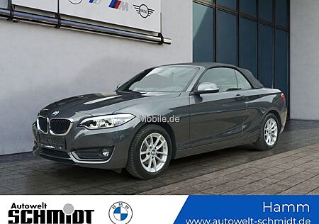 BMW 218i Cabrio Navi LED Sitzhz PDC / GARANTIE