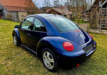 VW Beetle Volkswagen