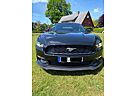 Ford Mustang Cabrio 3.7 l