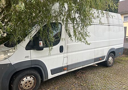 Fiat Ducato gebraucht kaufen Fiat Ducato