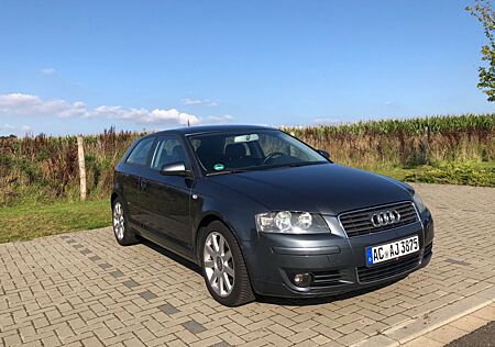 Audi A3 8P 1,6 S-Line Ausstattung