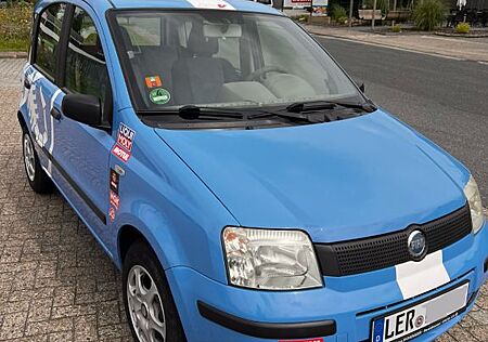 Fiat Panda - sparsam Fahranfänger Stadtflitzer