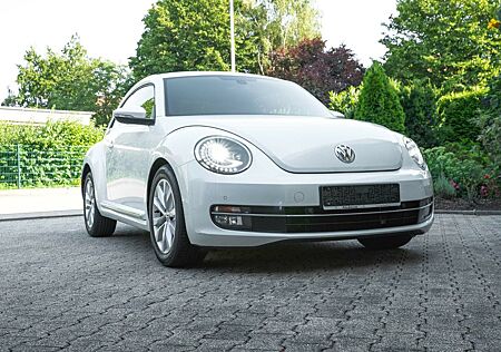 VW Beetle Volkswagen 2.0 TDI DIESEL (140 PS), NEUE BREMSEN