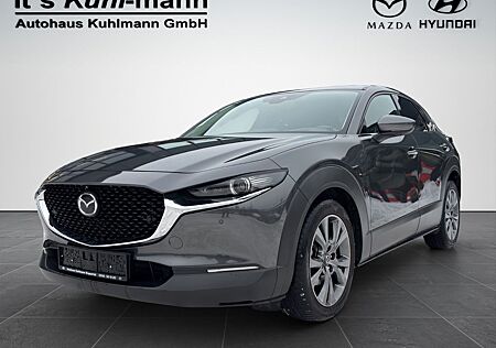 Mazda CX-3 CX-30 Selection 2WD A18-B DES-P PRE-P LED-S GSD