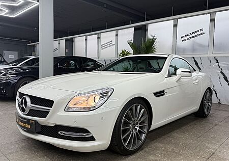 Mercedes-Benz SLK 250 Roadster BlueEfficiency*NACKEN.HZ*H&K*