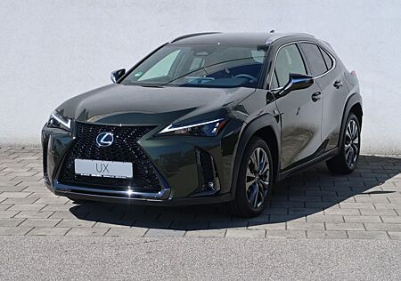 Lexus UX gebraucht kaufen Lexus UX 300h F SPORT Design