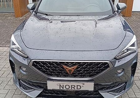 Cupra Formentor 2.0 TDI 4Drive Navi Winter P.