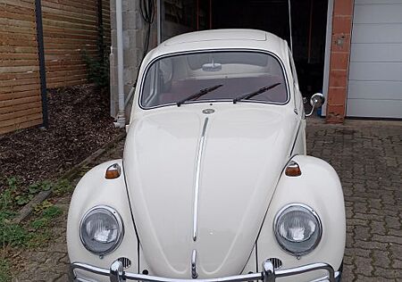 VW Käfer Volkswagen