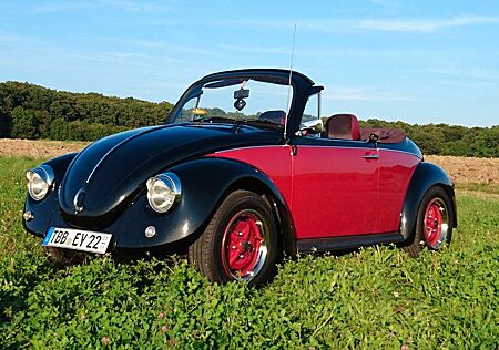 VW Käfer Volkswagen