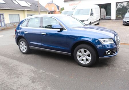 Audi Q5 2.0 TDI quattro Bi Xenon Tüv Insp. neu Navi