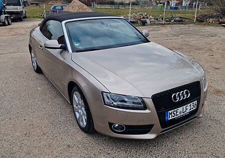 Audi A5 3.0 TDI (DPF) S tronic quattro Cabriolet -