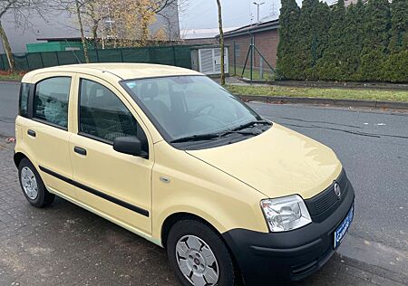 Fiat New Panda Panda 1.1 Rentnerfahrzeug 87.000KM TÜV NEU