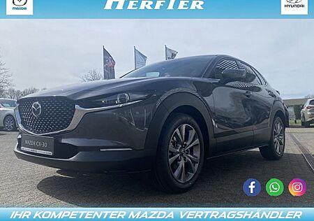 Mazda CX-30 EXCLUSIVE-L DASO DESI E-HECKKLAPPE 360KAME