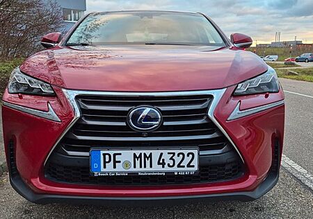 Lexus NX 300 NX 300h E-FOUR Luxury Line*8-fach*HUD*PANO*LED