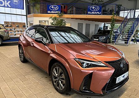 Lexus UX 300 h E-Four Sport Design Navi Leder