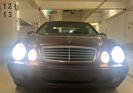 Mercedes-Benz CLK 320 ELEGANCE Elegance Xenon Leder TÜVNEU ALU