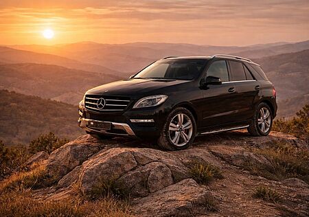 Mercedes-Benz ML 350 BT 4 M Ahk, Memory, Haman/Kadon, Leder