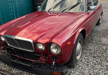 Jaguar XJ12