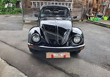 VW Käfer Volkswagen
