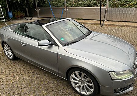 Audi A5 3.0 TDI (DPF) S tronic quattro Cabriolet