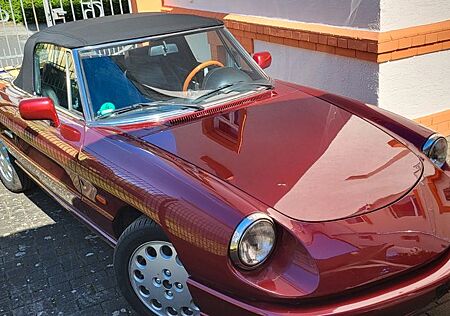 Alfa Romeo Spider schöner & gepflegter 92er