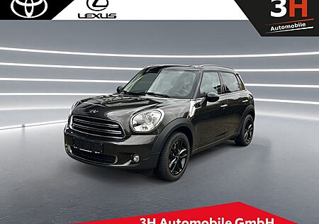 Mini Cooper Countryman Glasdach