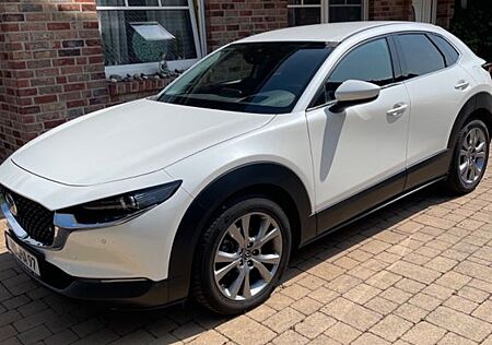 Mazda CX-30 e-SKYACTIV-G M-Hybrid 150 Homura Nav,HUD