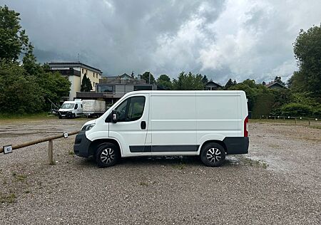 Citroën Jumpy Bestattungswagen 4 Sargsystem