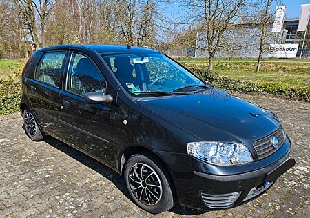 Fiat Punto 1.2