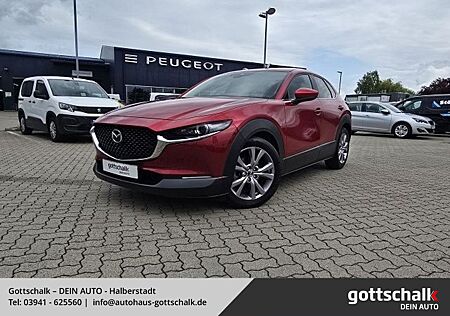 Mazda CX-30 2.0 Selection 2WD HUD AID MATRIX-LED 360°
