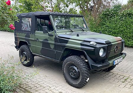Mercedes-Benz G 250 250 GD Wolf